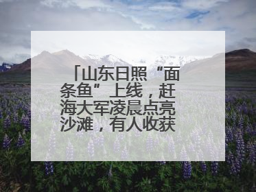 山东日照“面条鱼”上线，赶海大军凌晨点亮沙滩，有人收获满满一桶鱼