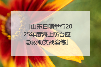 山东日照举行2025年度海上防台应急救助实战演练
