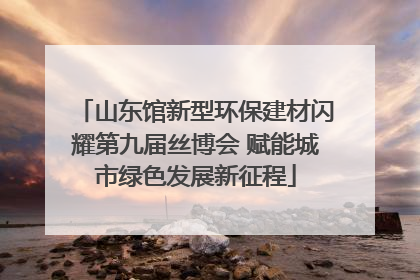 山东馆新型环保建材闪耀第九届丝博会 赋能城市绿色发展新征程
