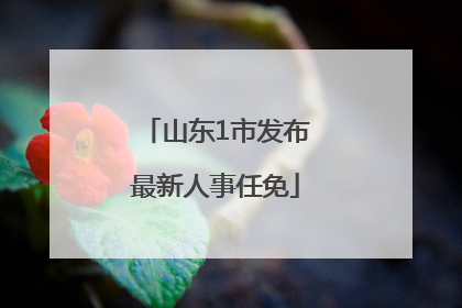 山东1市发布最新人事任免