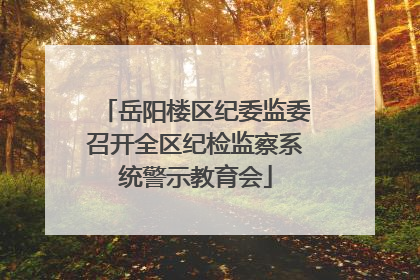 岳阳楼区纪委监委召开全区纪检监察系统警示教育会