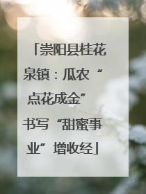 崇阳县桂花泉镇：瓜农“点花成金” 书写“甜蜜事业”增收经