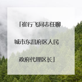 崔行飞同志任聊城市东昌府区人民政府代理区长