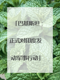 巴基斯坦：正式对印度发动军事行动