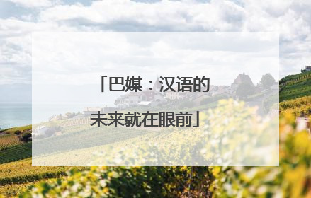 巴媒：汉语的未来就在眼前