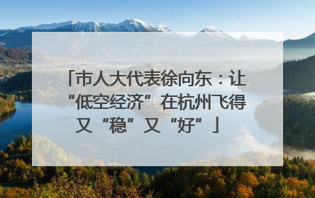 市人大代表徐向东：让“低空经济”在杭州飞得又“稳”又“好”