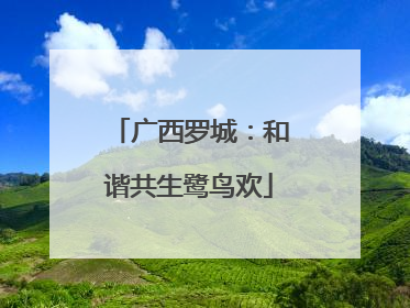 广西罗城：和谐共生鹭鸟欢
