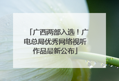 广西两部入选！广电总局优秀网络视听作品最新公布