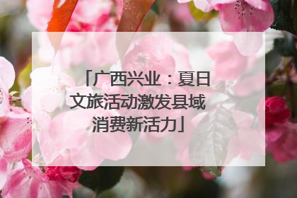 广西兴业：夏日文旅活动激发县域消费新活力