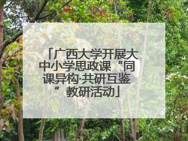 广西大学开展大中小学思政课“同课异构·共研互鉴”教研活动