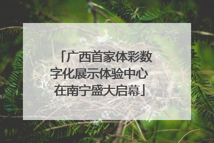 广西首家体彩数字化展示体验中心在南宁盛大启幕