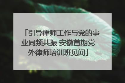 引导律师工作与党的事业同频共振 安徽首期党外律师培训班见闻