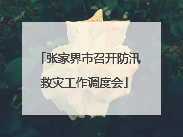 张家界市召开防汛救灾工作调度会