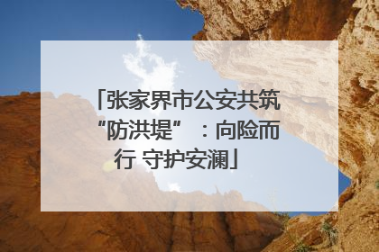 张家界市公安共筑“防洪堤”：向险而行 守护安澜