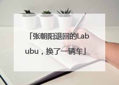 张朝阳退回的Labubu，换了一辆车