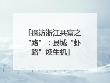 探访浙江共富之“路”：县城“虾路”焕生机