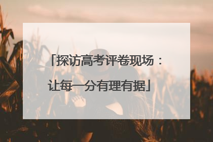 探访高考评卷现场：让每一分有理有据