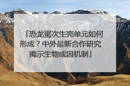 恐龙蛋次生壳单元如何形成？中外最新合作研究揭示生物成因机制