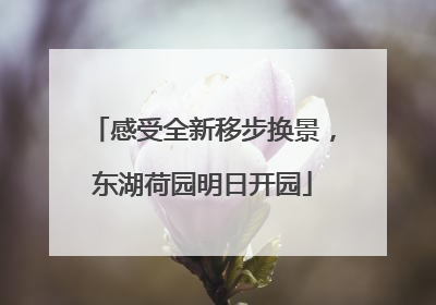 感受全新移步换景，东湖荷园明日开园