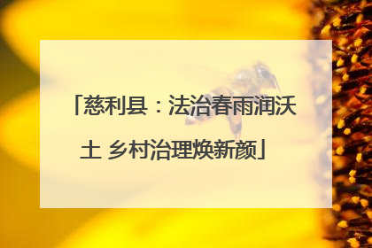 慈利县：法治春雨润沃土 乡村治理焕新颜