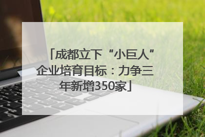 成都立下“小巨人”企业培育目标：力争三年新增350家