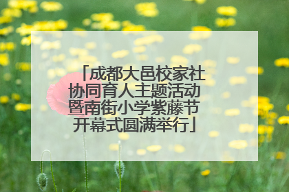 成都大邑校家社协同育人主题活动暨南街小学紫藤节开幕式圆满举行