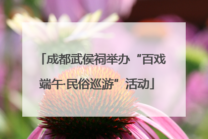 成都武侯祠举办“百戏端午·民俗巡游”活动