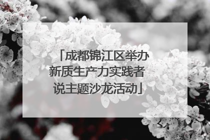 成都锦江区举办新质生产力实践者说主题沙龙活动
