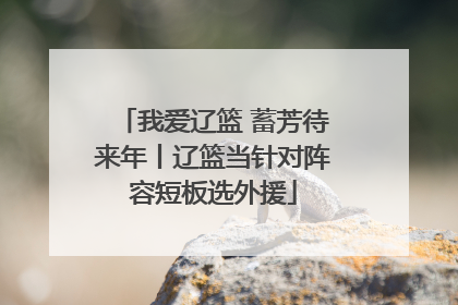 我爱辽篮 蓄芳待来年丨辽篮当针对阵容短板选外援