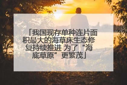 我国现存单种连片面积最大的海草床生态修复持续推进 为了“海底草原”更繁茂