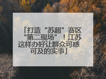 打造“苏超”赛区“第二现场”！江苏这样办好让群众可感可及的实事