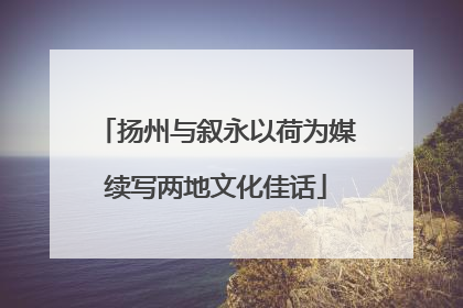 扬州与叙永以荷为媒续写两地文化佳话