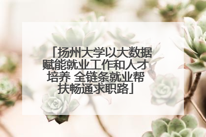 扬州大学以大数据赋能就业工作和人才培养 全链条就业帮扶畅通求职路