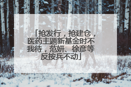 抢发行，抢建仓，医药主题新基金时不我待，范妍、徐彦等反按兵不动