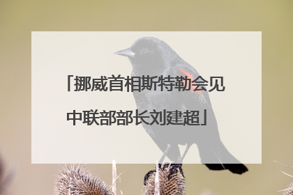 挪威首相斯特勒会见中联部部长刘建超