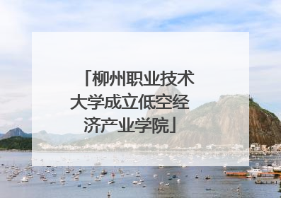 柳州职业技术大学成立低空经济产业学院