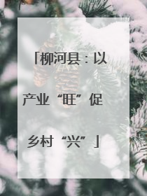 柳河县：以产业“旺”促乡村“兴”