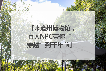 来沧州博物馆，真人NPC带你“穿越”到千年前