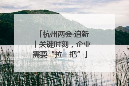 杭州两会·追新丨关键时刻，企业需要“拉一把”