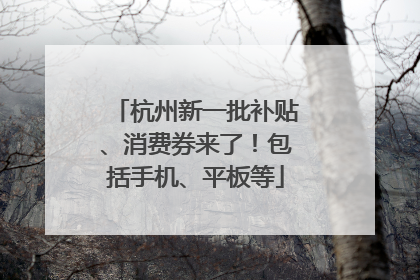 杭州新一批补贴、消费券来了！包括手机、平板等