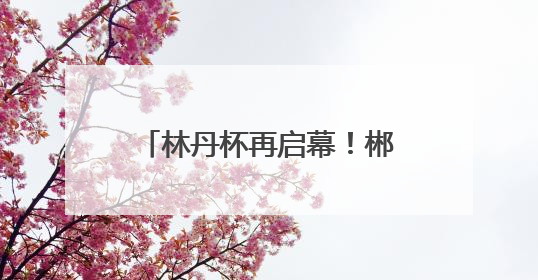 林丹杯再启幕！郴州以羽球为媒邀世界共赴山水之约