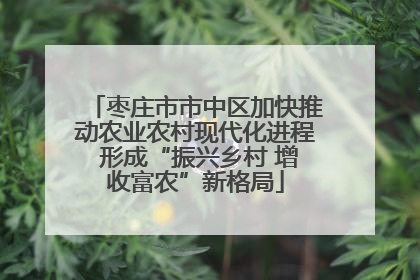 枣庄市市中区加快推动农业农村现代化进程 形成“振兴乡村 增收富农”新格局