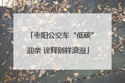 枣阳公交车“低碳”迎亲 诠释别样浪漫