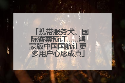 携带服务犬、国际客票预订……鸿蒙版中国国航让更多用户心愿成真