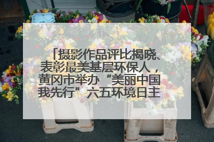 摄影作品评比揭晓、表彰最美基层环保人，黄冈市举办“美丽中国我先行”六五环境日主题宣传活动