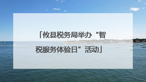 攸县税务局举办“智税服务体验日”活动