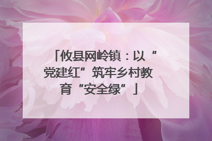 攸县网岭镇：以“党建红”筑牢乡村教育“安全绿”