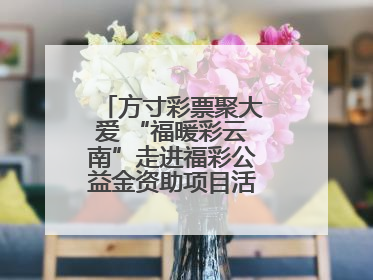 方寸彩票聚大爱 “福暖彩云南”走进福彩公益金资助项目活动在曲靖举行