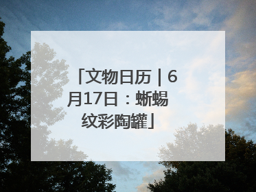 文物日历｜6月17日：蜥蜴纹彩陶罐