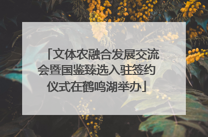 文体农融合发展交流会暨国鉴臻选入驻签约仪式在鹤鸣湖举办